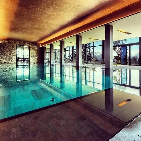 Crans-ambassador 205 公寓